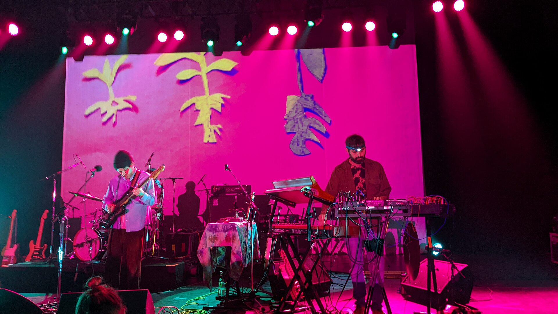 A guitarist and a keyboard player on a theatre stage in front of a hot pink banner painted with sprouting plants, magenta lights overhead