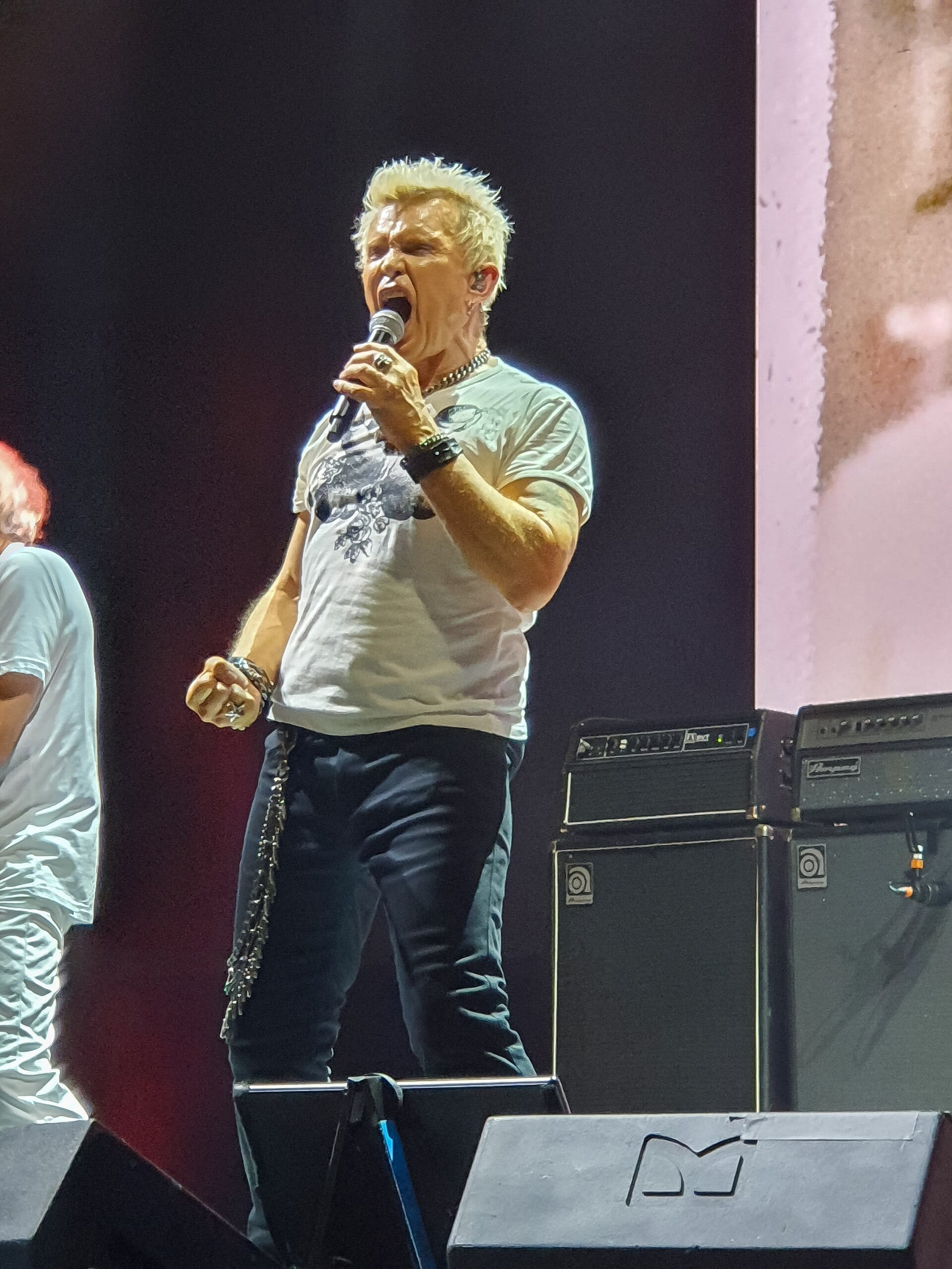 Billy Idol, in a white T-shirt and studded black jeans, belts into a handheld microphone on stage, his bleached hair spiked up.