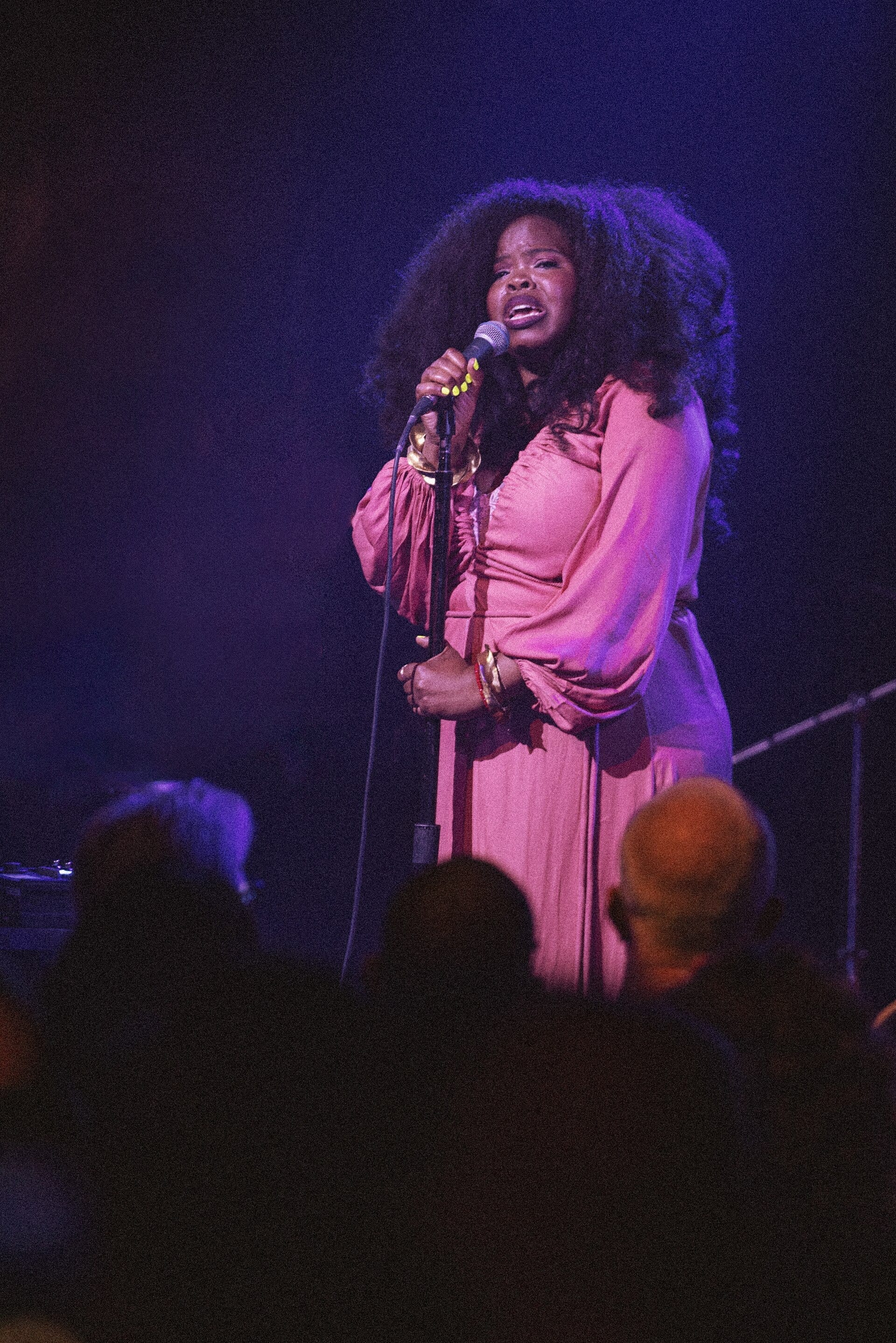 Danielle Ponder singing into a microphone on stage in a pink dress, lit by purple stage lighting, with the audience visible in silhouette in the foreground.